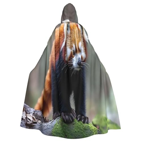 UYHhgqw Leisurely Little Pandas Halloween Hexenkostüm Herren Damen Kapuzenumhang Horror Horror Halloween Kostüm Cosplay Kostüm UYHhgqw Leisurely Little Pandas Halloween Hexenkostüm Herren Damen Kapuzenumhang Horror Horror Halloween Kostüm Cosplay Kostüm von UYHhgqw
