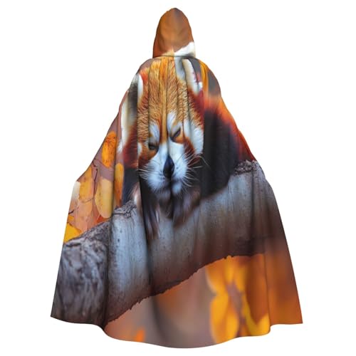 UYHhgqw Schlafender kleiner Panda Halloween Hexe Kostüm Herren Damen Kapuzenumhang Horror Horror Halloween Kostüm Cosplay Kostüm von UYHhgqw