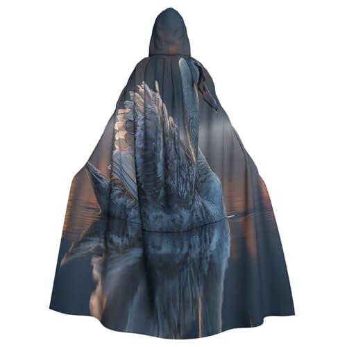 UYHhgqw Schwan auf dem See Halloween Hexenkostüm Herren Damen Kapuzenumhang Horror Horror Halloween Kostüm Cosplay Kostüm von UYHhgqw