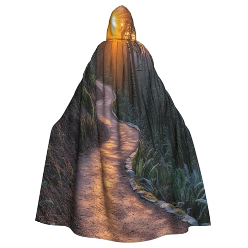 UYHhgqw Sonnenuntergang Bergwald Halloween Hexenkostüm Herren Damen Kapuzenumhang Horror Horror Halloween Kostüm Cosplay Kostüm von UYHhgqw