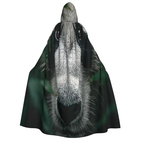 UYHhgqw The Confusion Of Giant Pandas Halloween Hexenkostüm Herren Damen Kapuzenumhang Horror Horror Halloween Kostüm Cosplay Kostüm UYHhgqw The Confusion Of Giant Pandas Halloween Hexenkostüm Herren Damen Kapuzenumhang Horror Horror Halloween Kostüm Cosplay Kostüm von UYHhgqw