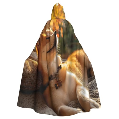 UYHhgqw The Puppy In The Dream Halloween Hexenkostüm Herren Damen Kapuzenumhang Horror Horror Halloween Kostüm Cosplay Kostüm von UYHhgqw