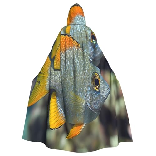 UYHhgqw Wunderschönes Fisch-Halloween-Hexenkostüm, Herren- und Damen-Kapuzenumhang, Horror-Horror-Halloween-Kostüm, Cosplay-Kostüm von UYHhgqw