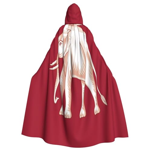 Uyhhgqw Siamesische Souveränität Flagge Halloween Hexenkostüm Herren Damen Kapuzenumhang Horror Horror Halloween Kostüm Cosplay Kostüm von UYHhgqw