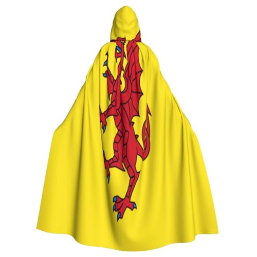 Uyhhgqw Somerset County Flagge Halloween Hexenkostüm Herren Damen Kapuzenumhang Horror Horror Halloween Kostüm Cosplay Kostüm von UYHhgqw