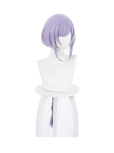 Uearlid Wig Anime Cosplay Genshin Wirkung Cosplay Qiqi Frauen 75cm langlicht lila Perücke Cosplay Anime Cosplay Halloween Perücken Hitzebeständige synthetische Perücken von Uearlid