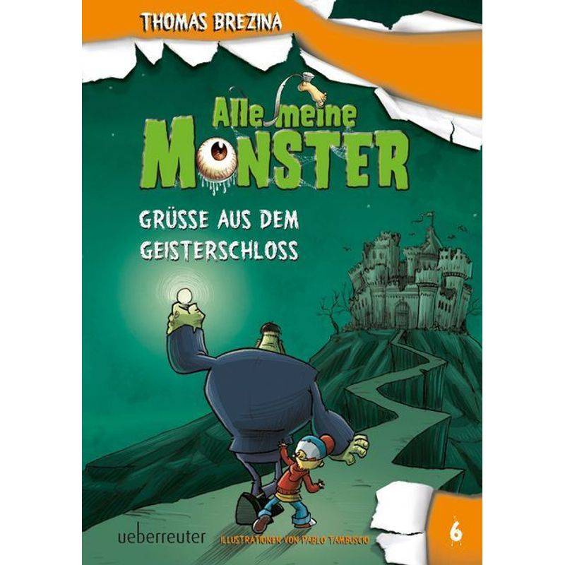 Grüße aus dem Geisterschloss / Alle meine Monster Bd.6 von Ueberreuter