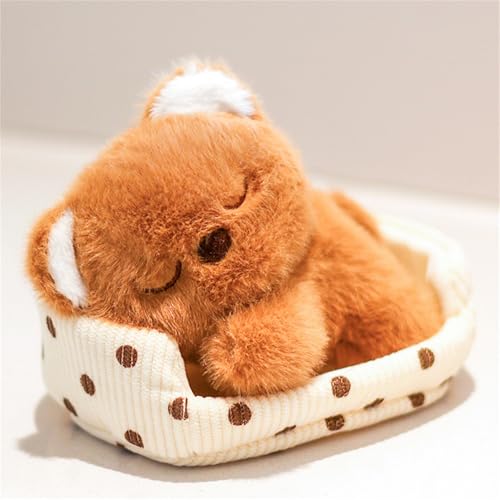 Ueiwffzo Plüsch Kuscheltier Hund Katzen Bären mit Haustierbett 18cm Plüschtier Weich Süßes Plüschtiere Ornamente, Spielzeug Tier für Erwachsene und Kinder Geschenke (Bären) von Ueiwffzo