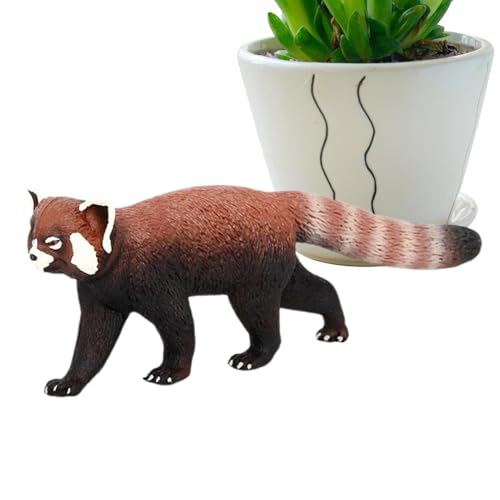 Uhngw Rote Panda -Figur, süße rote Panda -Figur - PVC -Modell Abbildung Miniatur Red Panda,Exquisite Tabletop -Tiere Spielzeug, Sammlerhandwerk für Fensterausstellung, Schlafzimmerzubehör Uhngw Rote Panda -Figur, süße rote Panda -Figur - PVC -Modell Abbildung Miniatur Red Panda,Exquisite Tabletop -Tiere Spielzeug, Sammlerhandwerk für Fensterausstellung, Schlafzimmerzubehör von Uhngw