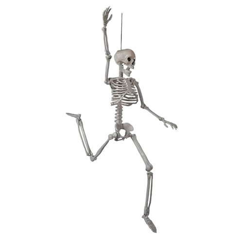 Halloween-Dekoration Skelett Totenkopf mit beweglichen Gliedmaßen für Spukhaus und Party-Dekoration von Uitndvyte