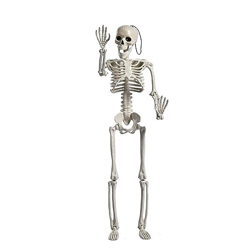 Halloween-Skelett, realistische Ganzkörper-Dekoration, gruselige Gelenke, Halloween, Kunststoffskelett, Zubehör Halloween-Skelett, realistische Ganzkörper-Dekoration, gruselige Gelenke, Halloween, Kunststoffskelett, Zubehör von Uitndvyte