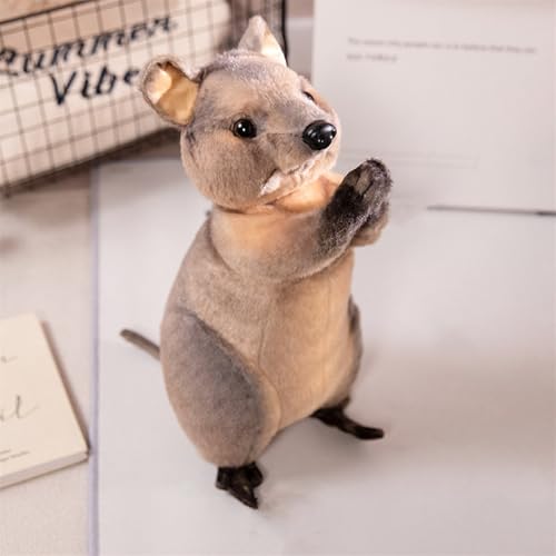 Uixxducc 35 cm Kuscheltier Otter Süßes Plüschtier Stofftier Glückssymbol niedliches Plüschtier zum Kuscheln und Spielen Plüschspielzeug für Kinder & Erwachsene tolle Geschenkidee (Känguru) von Uixxducc