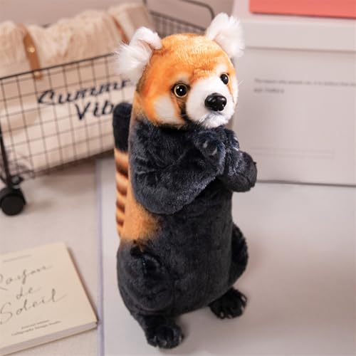 Uixxducc 35 cm Kuscheltier Otter Süßes Plüschtier Stofftier Glückssymbol niedliches Plüschtier zum Kuscheln und Spielen Plüschspielzeug für Kinder & Erwachsene tolle Geschenkidee (Raccoon) von Uixxducc