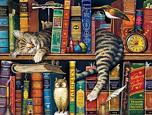 1000 Stück Puzzle - Bookshelf cat - Erwachsene Teenager Kinder Puzzle Großes Puzzle Spielzeug Geschenk Pädagogisch Intellektuell Dekomprimieren Spaß Familienspiel von Ulalaza