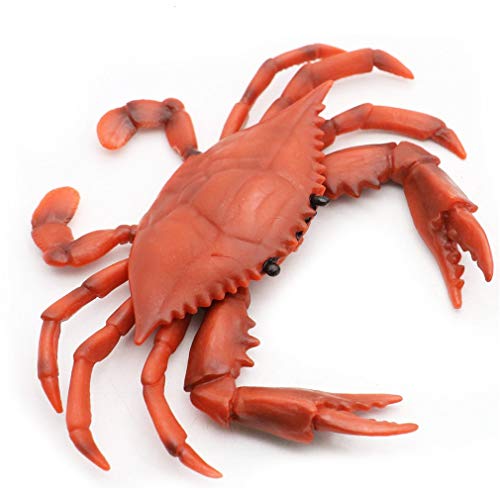 Ulalaza Kunststoff Krabben Modell Lebensechte Krabben Meerestierfiguren Nachahmung Ornament Desktop Dekoration Spielzeug Geschenke für Kinder von Ulalaza