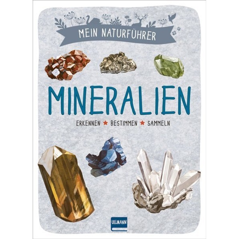 Mein Naturführer - Mineralien von Ullmann Medien