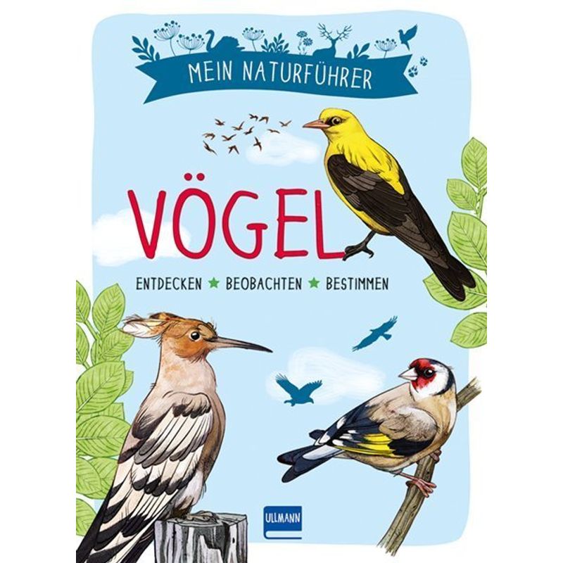 Mein Naturführer - Vögel von Ullmann Medien