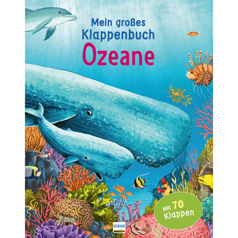 Mein großes Klappenbuch - Ozeane von Ullmann Medien