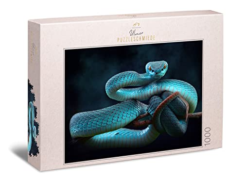 Ulmer Puzzleschmiede - Puzzle „Schlangentraum“ - Klassisches 1000 Teile Puzzle – Mysthisches Tierfoto mit aufregendem Schlangen-Motiv - die Blaue Viper ist EIN Puzzle für fortgeschrittene Puzzler von Ulmer Puzzleschmiede