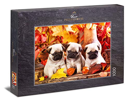 Ulmer Puzzleschmiede - Puzzle „Welpen-Glück“ - Klassisches 1000 Teile Tier-Puzzle – Puzzlemotiv dreier süßer Mops Hunde-Welpen - EIN Tierbaby-Puzzle für Hundefreunde von Ulmer Puzzleschmiede