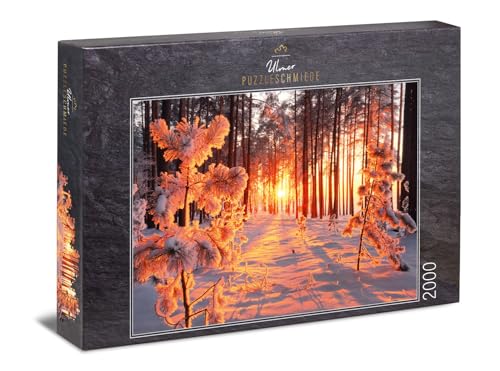 Ulmer Puzzleschmiede - Puzzle „Wintersonne“ - Klassisches 2000 Teile Jahreszeiten-Puzzle - Schnee-Landschaft in unserer Heimat - warme Sonnenstrahlen, Licht & Schatten im kalten Winter-Wald von Ulmer Puzzleschmiede