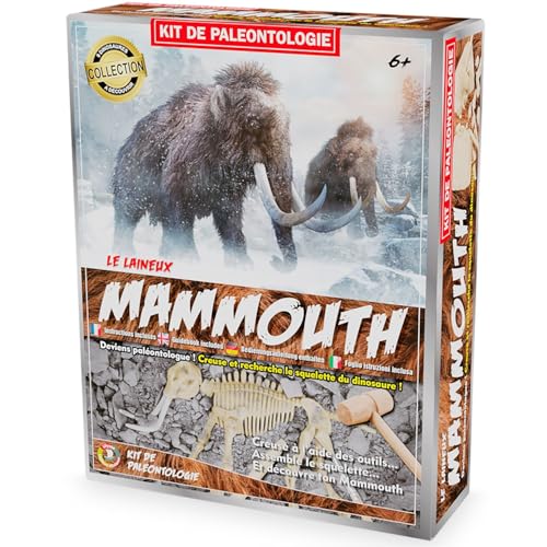 Ulysse MAMMOUTH Paläontologie-Set, Archäologie und Paläontologie, Mehrfarbig (2826) von Ulysse