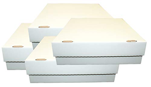 CAGO 4 Riesen Deck-Boxen - Aufbewahrung (weiß) für je 4000 Karten (Magic/Pokemon/YuGiOh Karten) + Collect-it Hüllen von CAGO