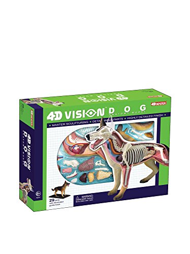 4D Vision Dog Anatomy Model von Tedco