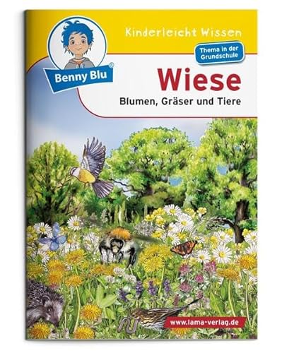 Benny Blu - Wiese: Blumen, Gräser, Tiere (Benny Blu Kindersachbuch) von Unbekannt