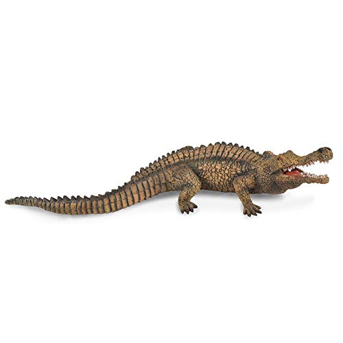 Collecta – 3388334 – Figur – Dinosaurier – Urzeit – Sarcosuchus von Collecta