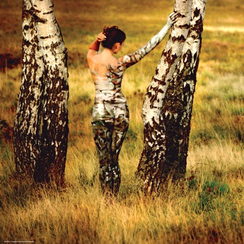 Düsterwald, Metamorphose (Puzzle) von Heye