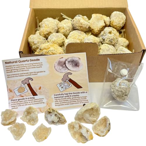 Fossil Gift Shop Break Your Own Geoden 1 kg Stoßstangen-Packung – enthält bis zu 25 Geoden von British Fossils