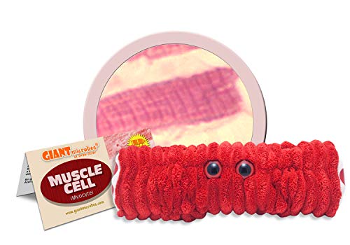 GIANTmicrobes Muscle Cell (Myocyte) Plush Toy von GIANTmicrobes