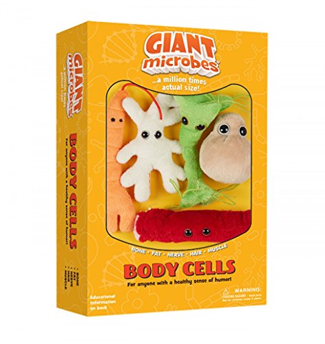 Giantmicrobes Themed Gift Boxes - Body Cells by Giant Microbes Giantmicrobes Themed Gift Boxes - Body Cells by Giant Microbes von GIANTmicrobes