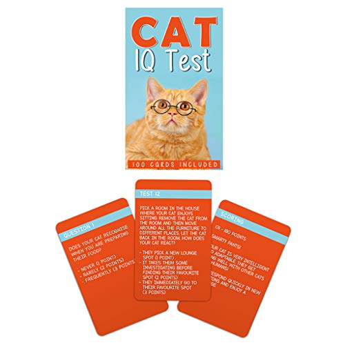 Gift Republic GR490092 Cat IQ-Test von GR Gift Republic