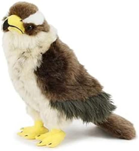 Habicht Bussard Greif Falke * 23 cm * Plüschtier * hawk falcon von Unbekannt