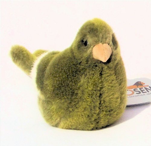 Kösen Kanarienvogel, grün Kösen Kanarienvogel, grün von Unbekannt