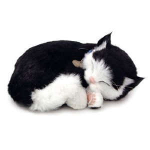 Perfect Petzzz lebensechte schlafende Katze Black & White Perfect Petzzz lebensechte schlafende Katze Black & White von Unbekannt