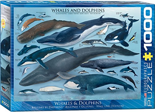 Puzzle mit Walen und Delfinen, 680 mm x 480 mm, 1000 Teile von Unbekannt