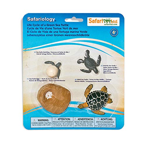 Safari 662316 Life Cycle of a Green Sea Turtle Figuren von Safari Ltd.