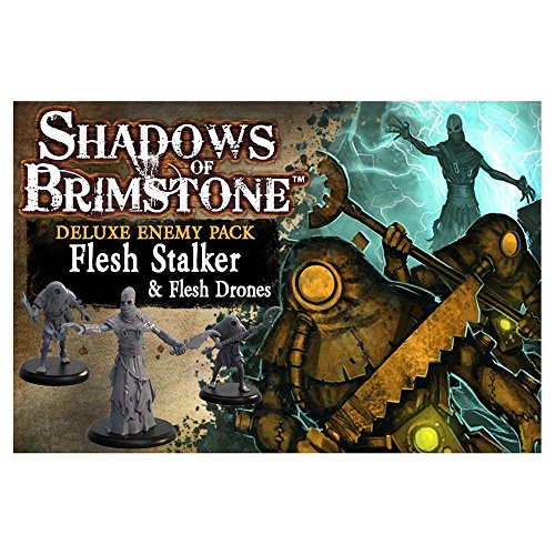 Shadows of Brimstone: Flesh Stalker and Flesh Drones von Unbekannt