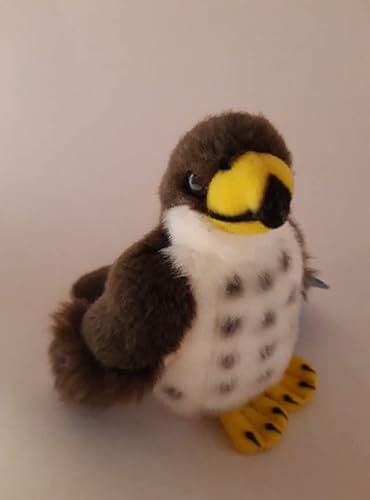 Stofftier Habicht 10 cm, Kuscheltier Plüschtier Vogel Greifvogel Stofftier Habicht 10 cm, Kuscheltier Plüschtier Vogel Greifvogel von Unbekannt