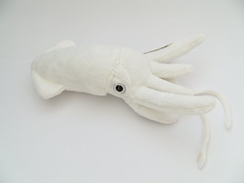 Cornelißen Stofftier Kalmar 31 cm, Kuscheltier, Plüschtier, Tintenfisch Oktopus von Cornelißen