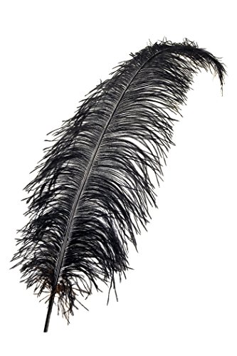 Party Discount ® Straußenfeder, 50-60cm, schwarz PREISHIT Party Discount ® Straußenfeder, 50-60cm, schwarz PREISHIT von Party Discount