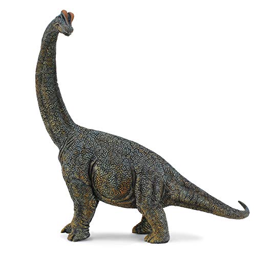 Unbekannt Brachiosaurus, Dinosaurier Spielzeug von CollectA von Collecta