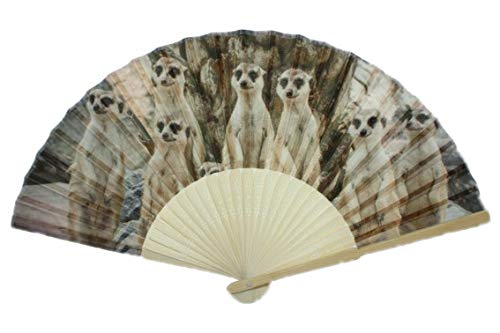 Cornelissen Fächer Erdmännchen, 21 x 38 cm, Tier Tiere, Handfächer, Accessoire von Cornelissen