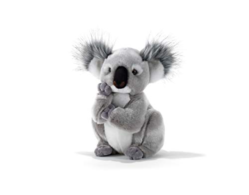 Plush & Company - Kolette Koala Plüschspielzeug, Mehrfarbig, 28 cm, 15747 von Plush & Company