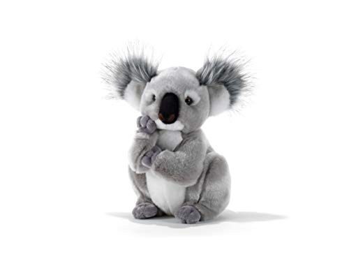 Plüsch & Company Kolette Koala 28 cm 15747 von Plush & Company