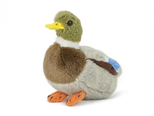 Unbekannt Stofftier Ente 13 cm, Kuscheltier Plüschtier, Erpel, Enten von Unbekannt