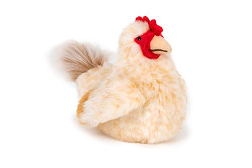 Unbekannt Stofftier Huhn 23 cm, Kuscheltier Plüschtier, Hähnchen Gockel Hahn Hennen von Unbekannt